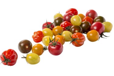 .Cherry Tomaatjes Mix (200 gram van EKONOOM Groenteteelt, Noordwolde)