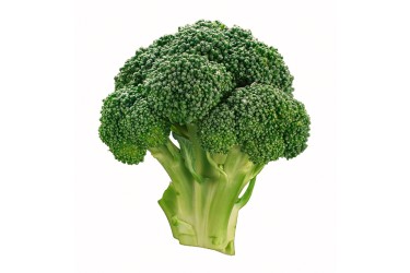 Biologische Broccoli (per stuk)