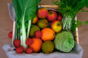 Biologisch Groente & Fruit Pakket - Gemaks Combi
