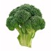 Biologische Broccoli (per stuk)
