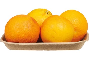 Biologische Bloedsinaasappelen (500 gram uit Italië)