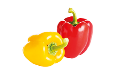 Biologische Paprika Duo (rood+geel, 300-400 gram)
