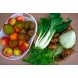 Biologisch Groente & Fruit Pakket - Basis Combi