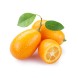 Biologische Kumquats (150 gram)