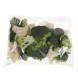 Biologische Bloemkool & Broccoli (350 gram)